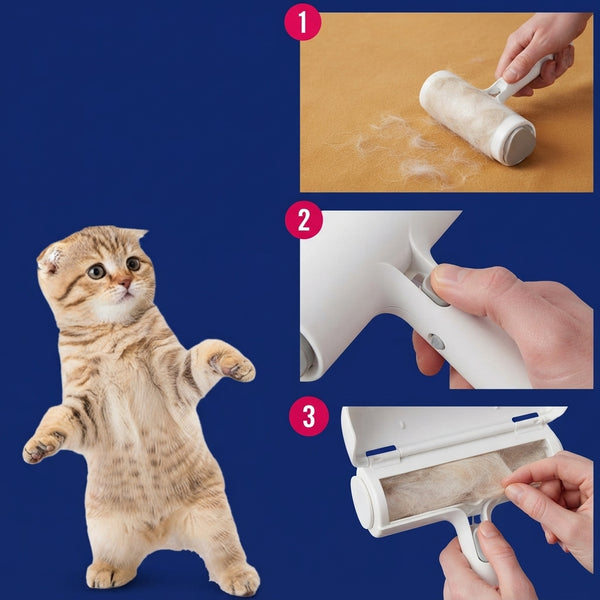 A pet grooming vacuum nozzle removing pet hair from a cream-colored sofa in a clean, modern living room.
